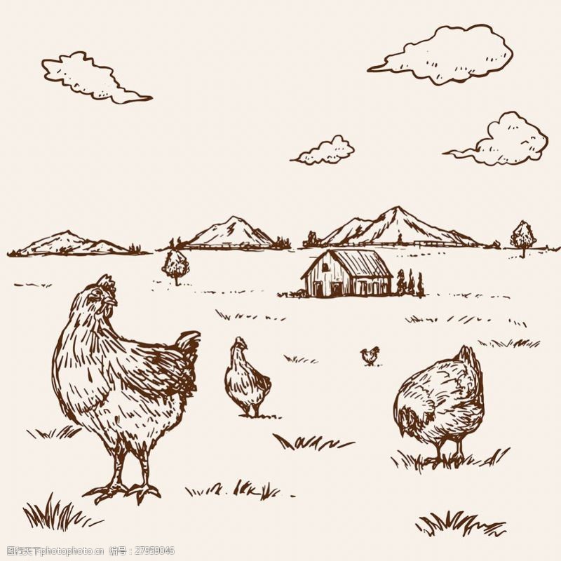 手绘素描风格母鸡农场背景
