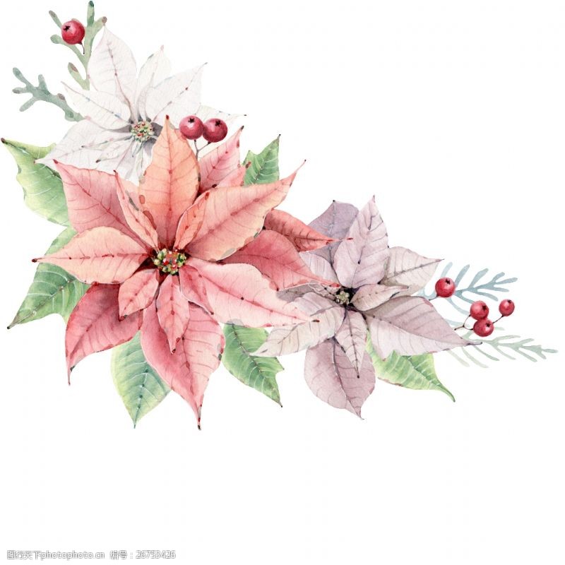 彩绘花草素材图片免费下载 彩绘花草素材素材 彩绘花草素材模板 图行天下素材网