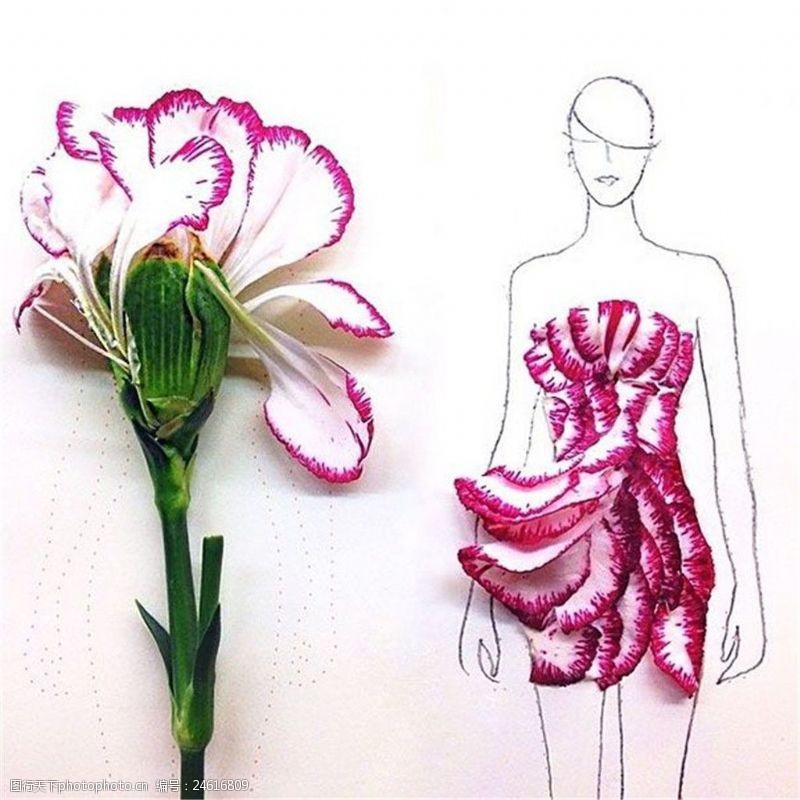 树叶图片免费下载花瓣抹胸裙设计灵感图