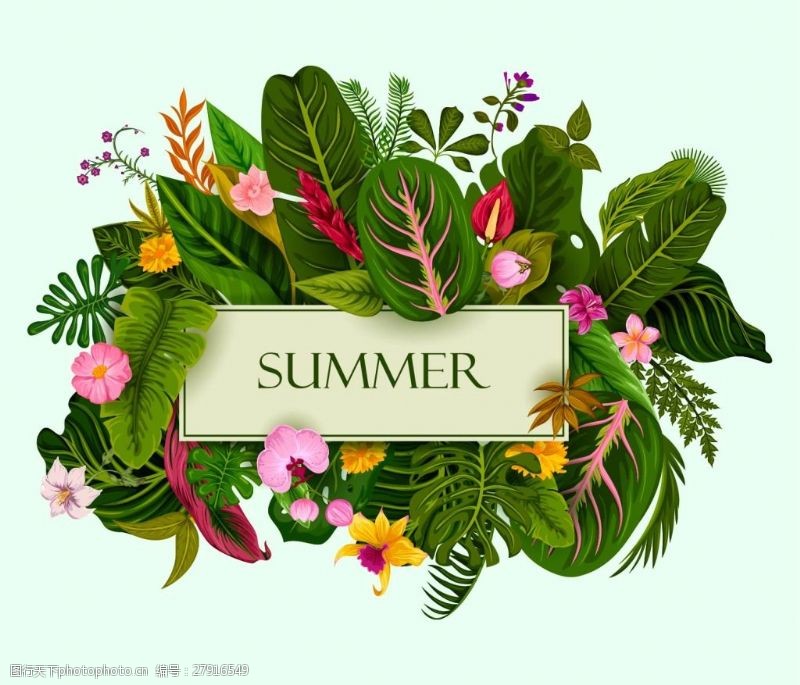热带植物和花卉与夏季背景矢量素材下载