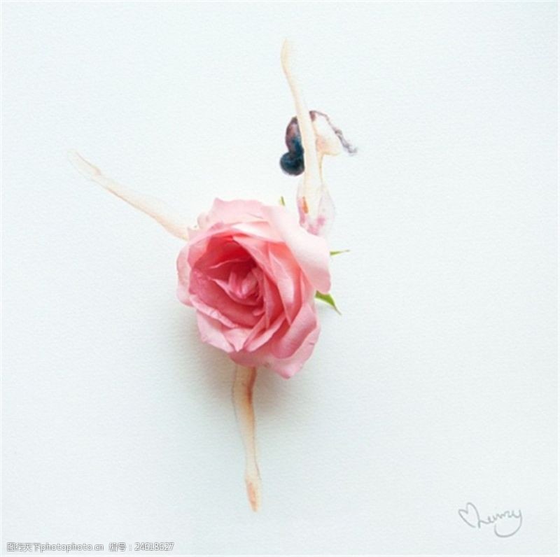 树叶图片免费下载粉色玫瑰服装设计灵感