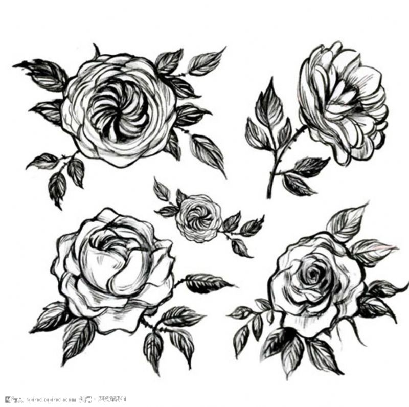 天天特价手绘春季玫瑰元素集