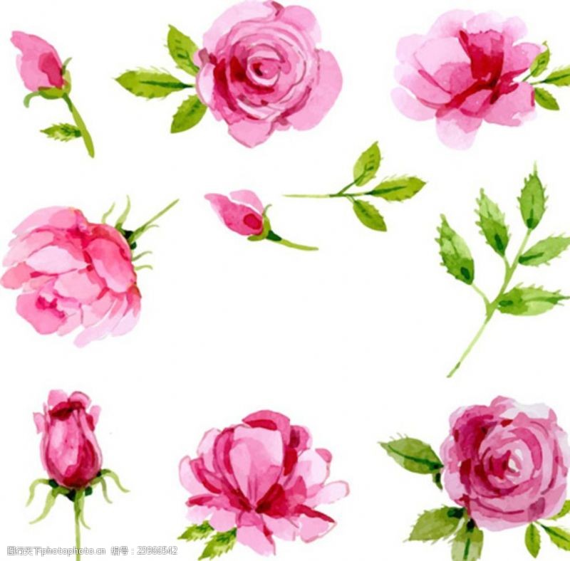 天天特价手绘水彩春季玫瑰元素