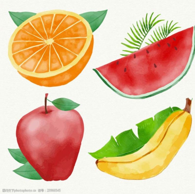 水果宣传手册手绘水彩四款水果