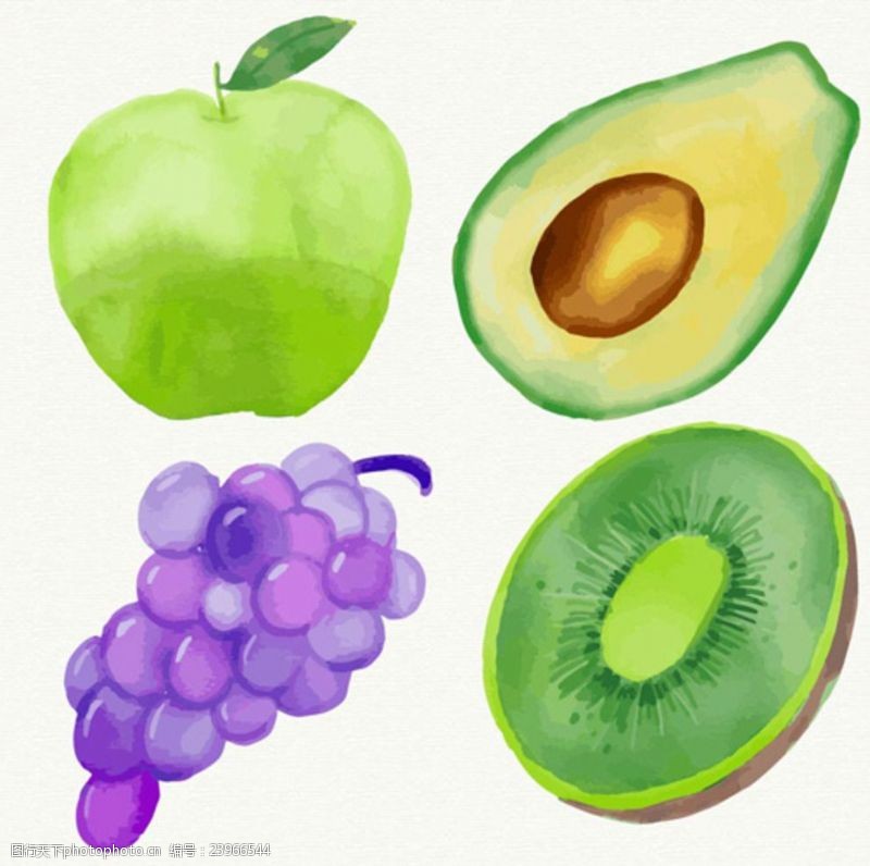 水果宣传手册手绘水彩四款水果集