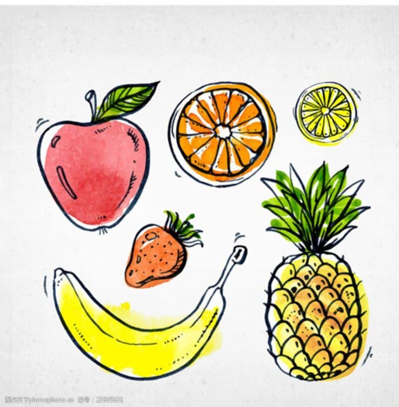 水果宣传手册手绘各种水果插图