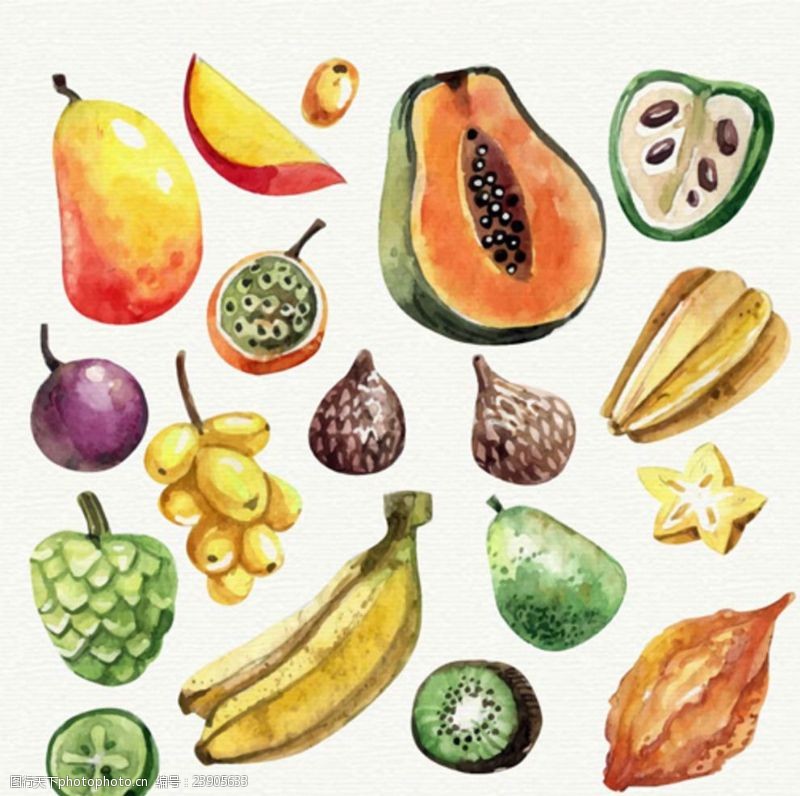 水果宣传手册手绘各种水果水彩插图
