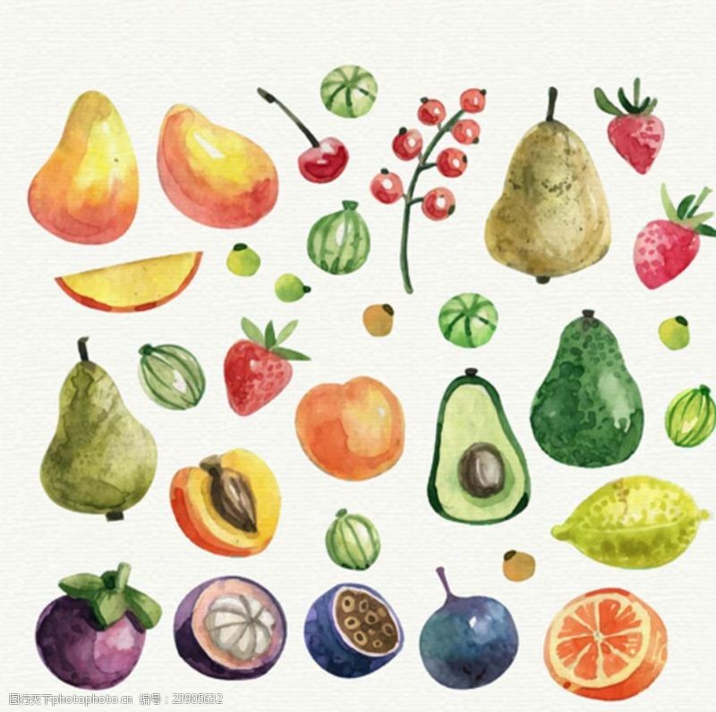 水果宣传手册手绘热带水果水彩插图