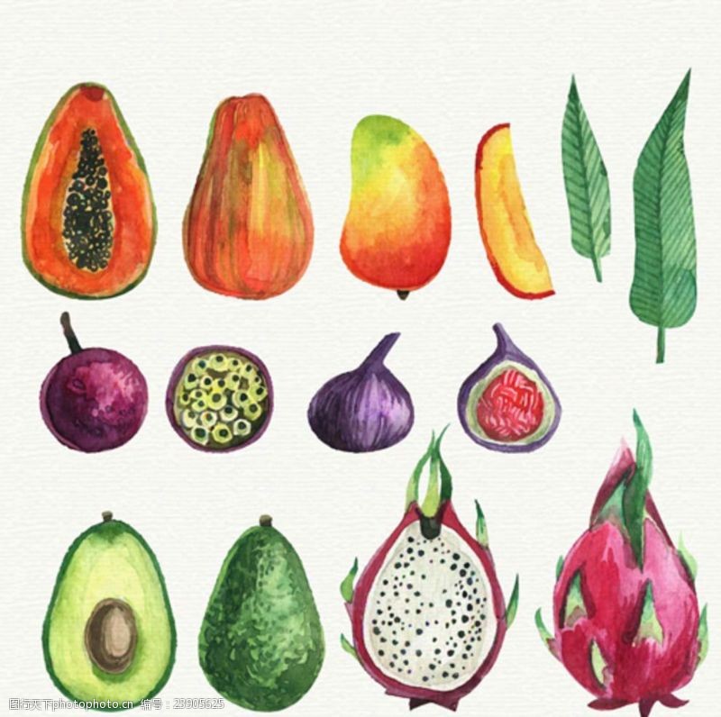 水果宣传手册手绘水彩热带水果插图