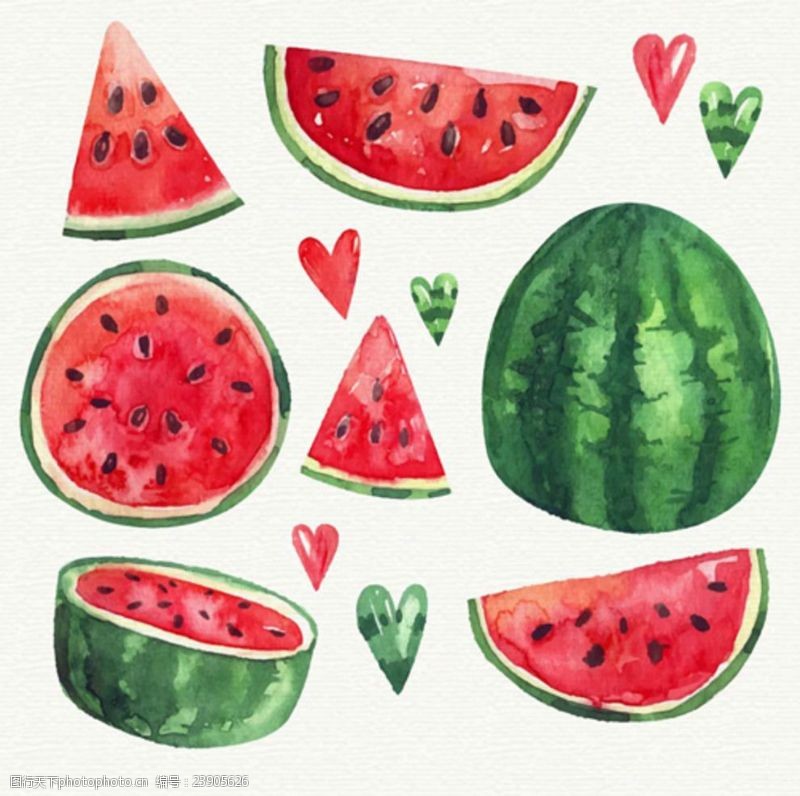 水果宣传手册手绘水彩西瓜插图