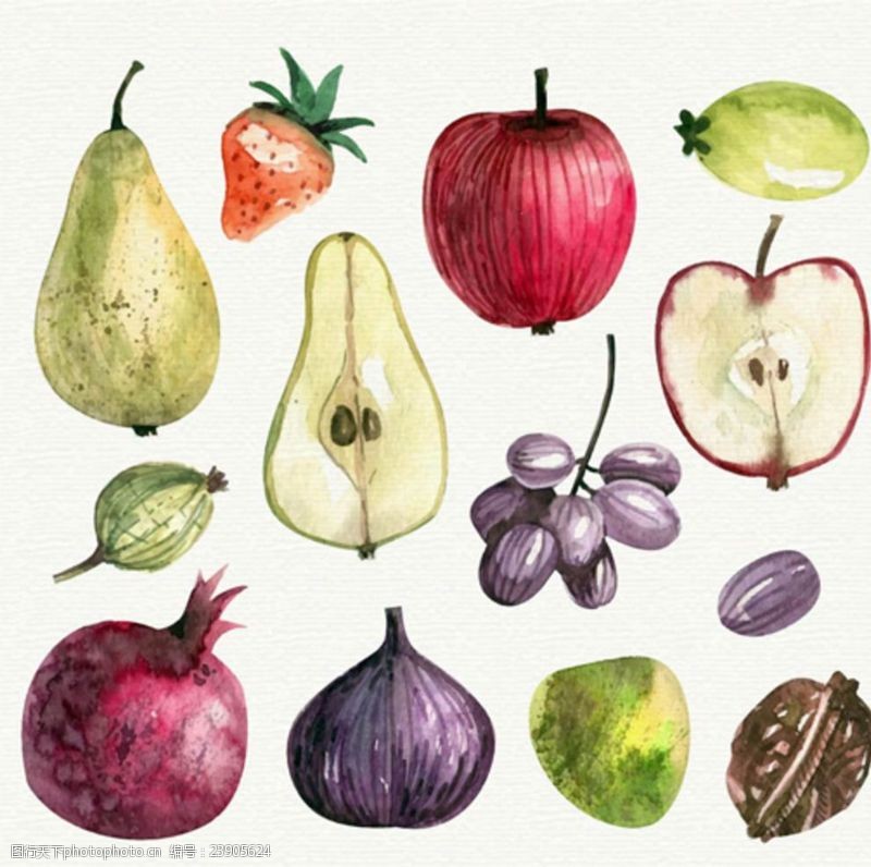水果宣传手册手绘水果水彩插图