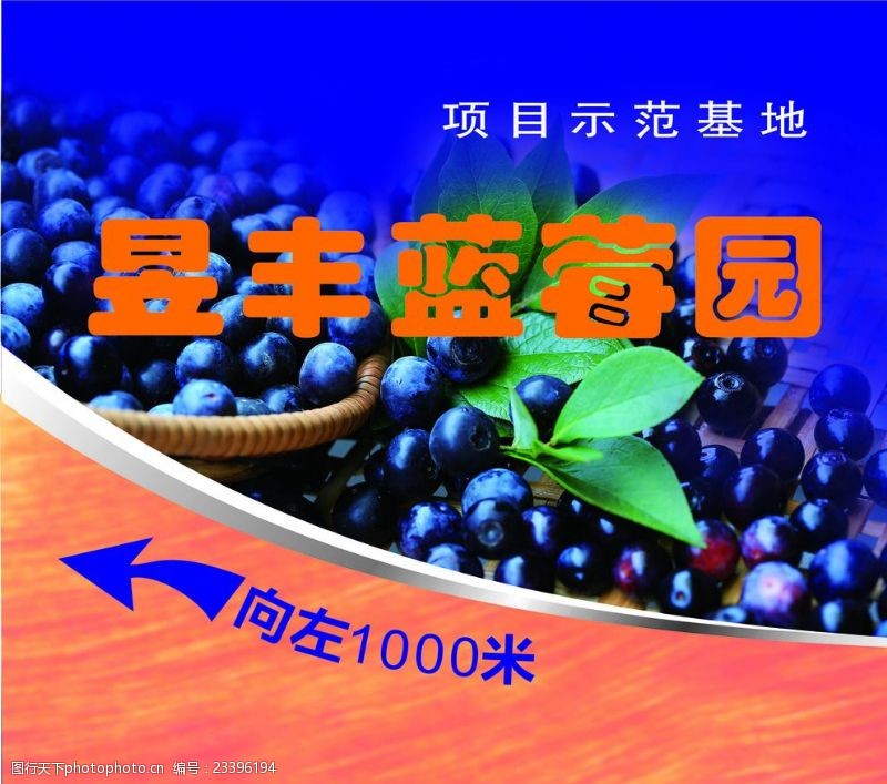 水标签蓝莓海报