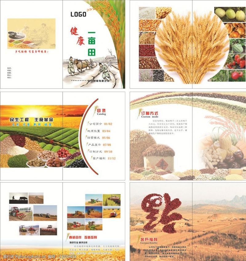 五谷杂粮广告农业宣传册