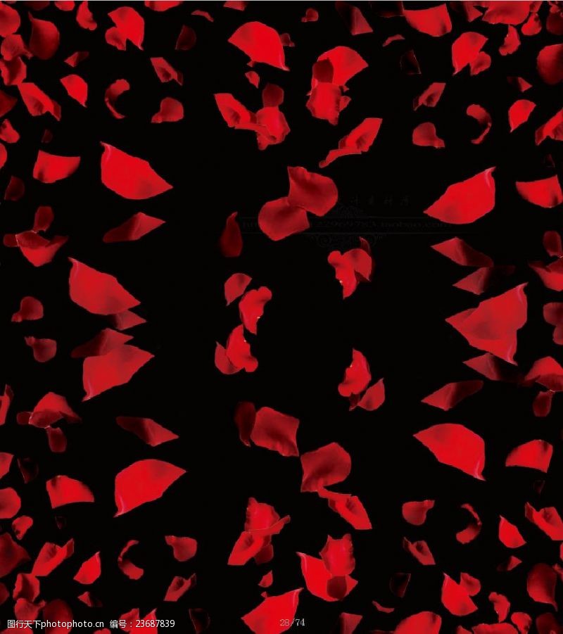点状红色花瓣