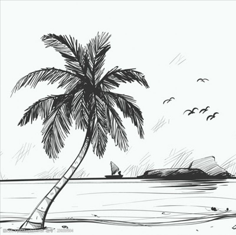 蓝圈圈手绘素描海滩棕榈树背景