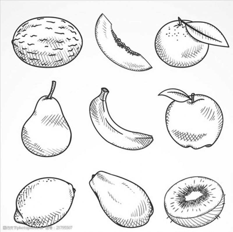 年糕9个手绘素描水果