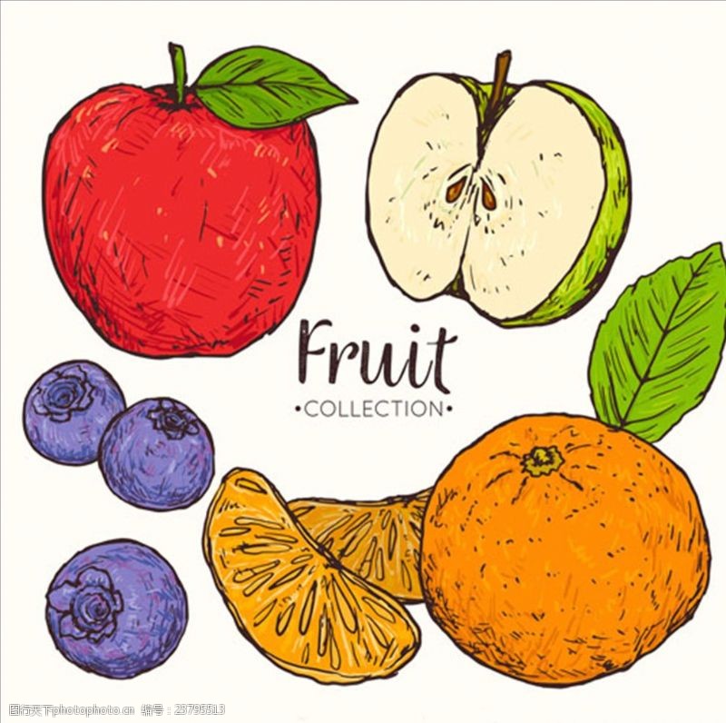 美的新年宣传广告一组手绘的美味水果