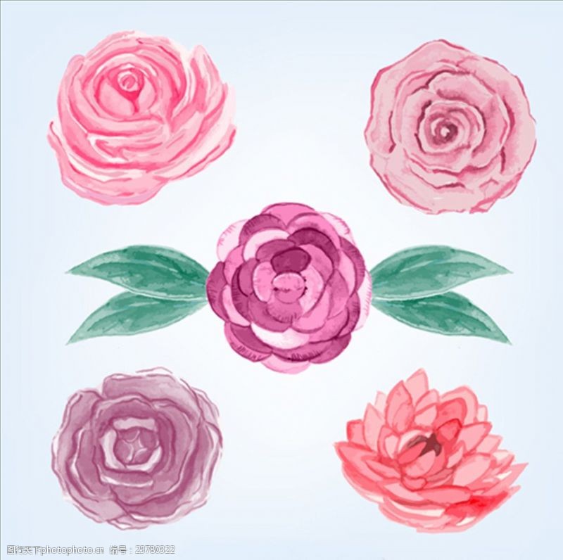 情人节x展架五朵情人节水彩玫瑰