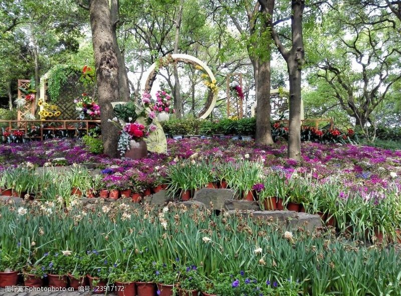 紫苏虎丘花园