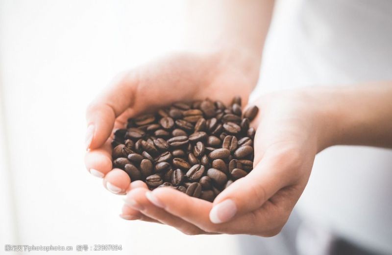 咖啡写真手捧咖啡豆