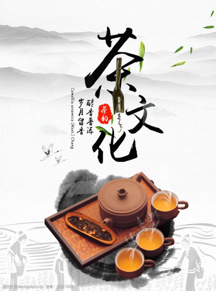 茶叶画册茶文化