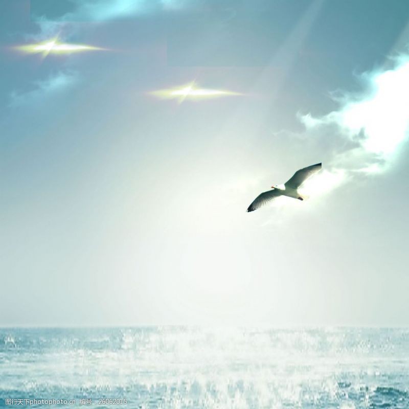云朵海鸥高光光线湖面素材