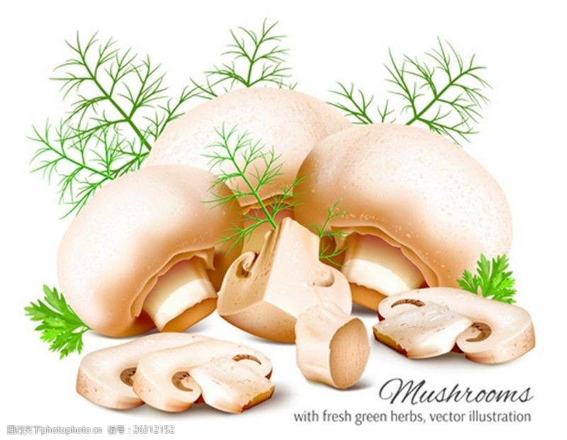 蘑菇菜漂亮蘑菇背景图