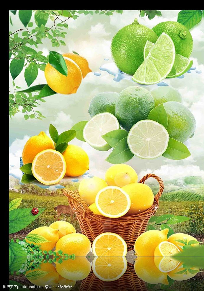 冰箱海报柠檬