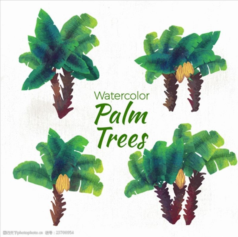 夏季风情矢量素材手绘水彩棕榈树