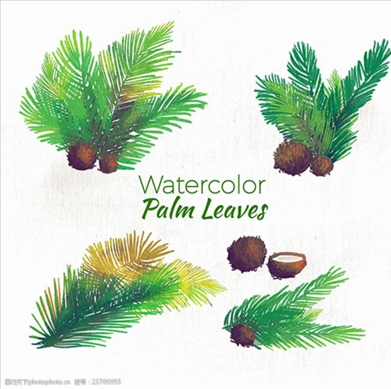夏季风情矢量素材手绘水彩棕榈树和椰子