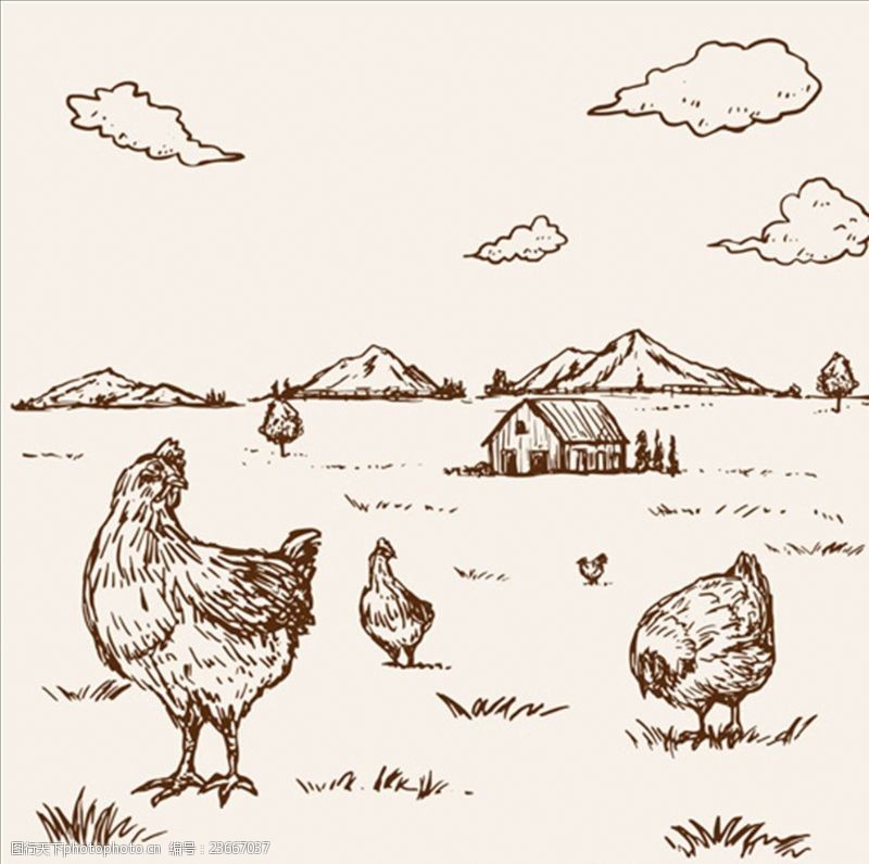 农家乐手绘农场里的母鸡