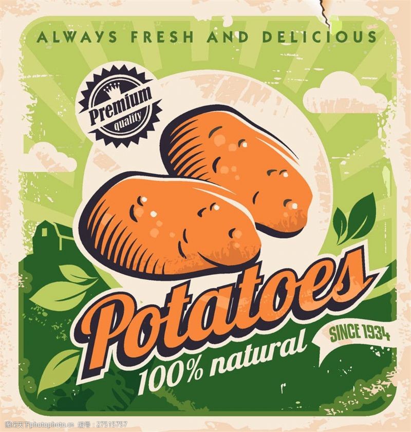 土豆贴图复古土豆标签设计图片