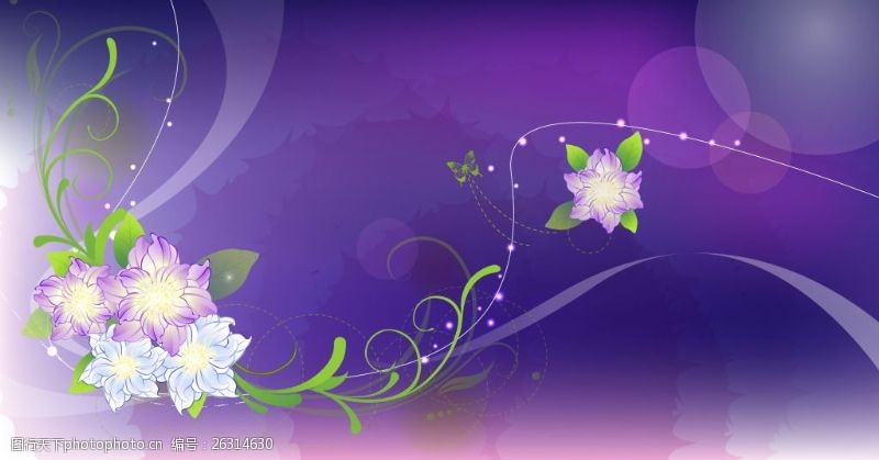 紫色梦幻背景梦幻白色花朵紫底背景