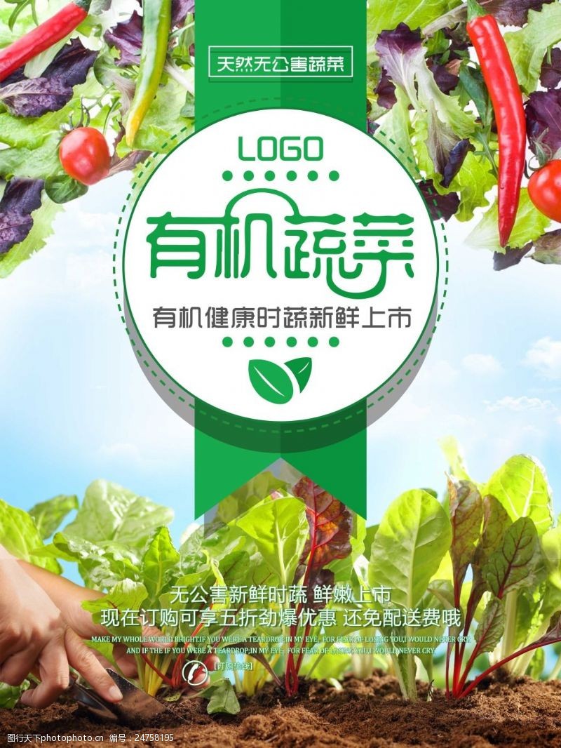 绿色蔬菜海报免费无公害有机蔬菜新鲜上市海报