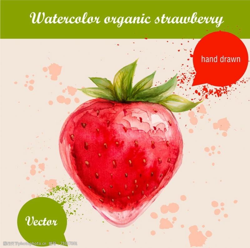 矢量水果素材手绘草莓矢量