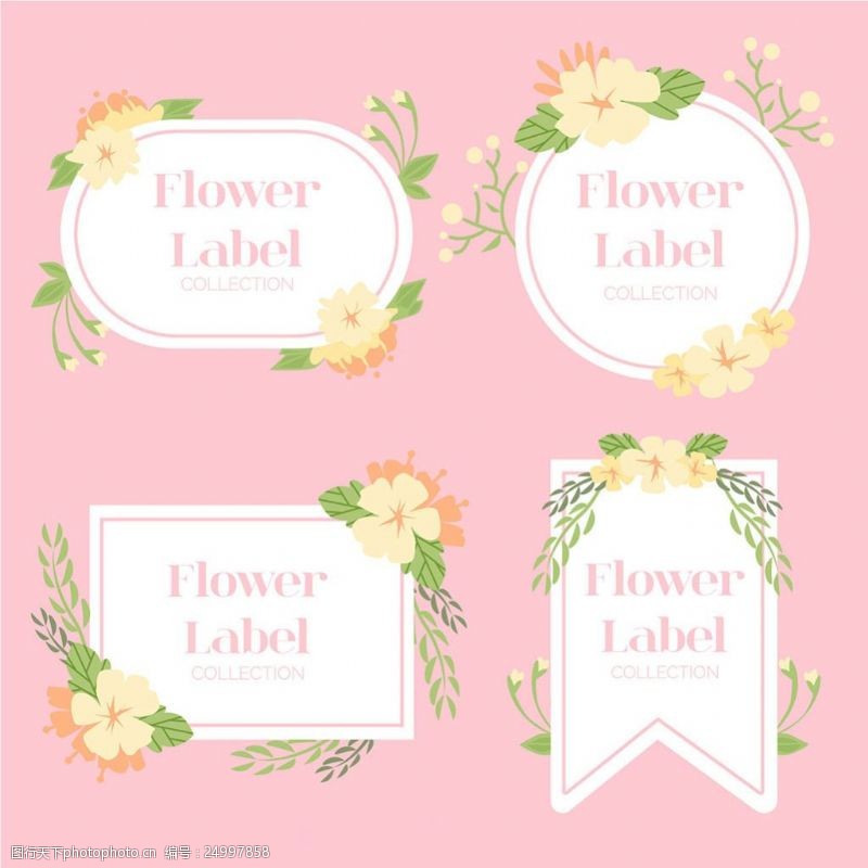 各种标签各种柔和颜色的花卉标签
