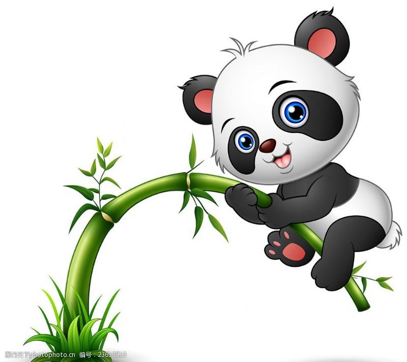 骑在竹子上的卡通熊猫矢量