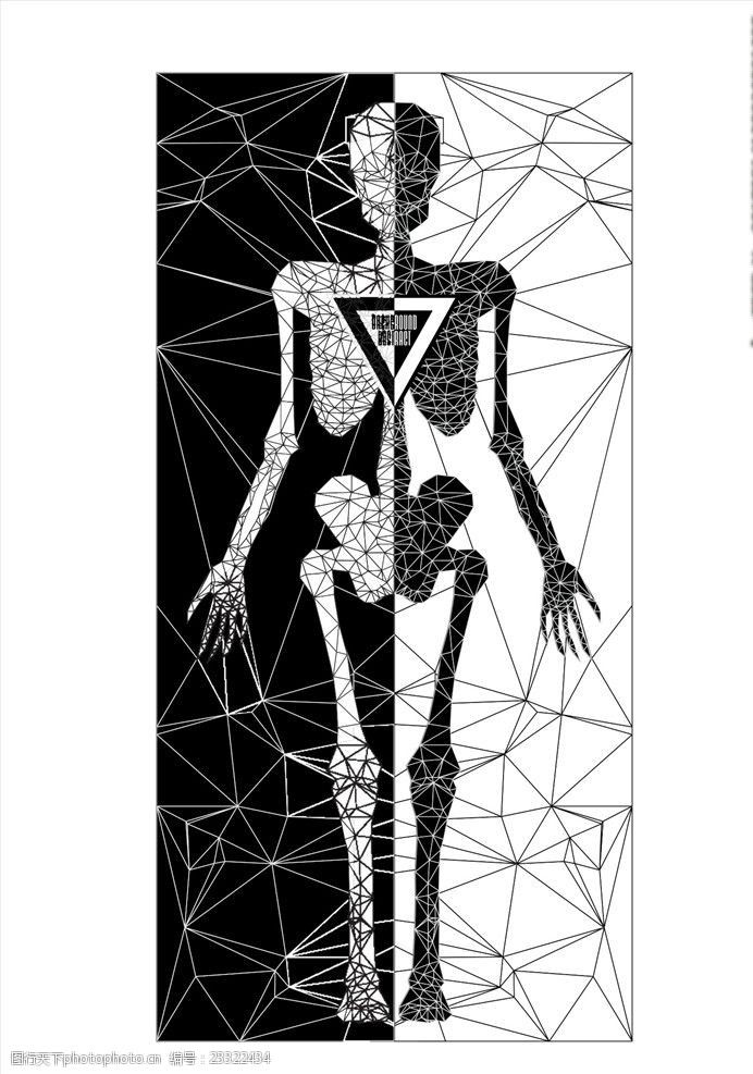 矢量图案共享人体骨骼素材下载线条排列矢量图