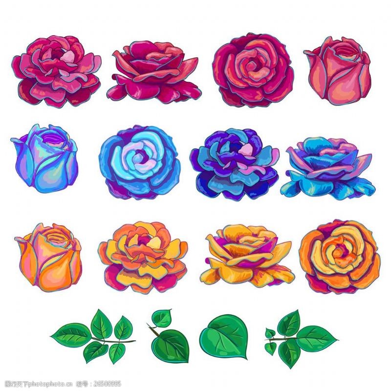 各种色系各种颜色玫瑰插图系列