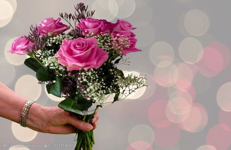 花束素材母亲节玫瑰花束