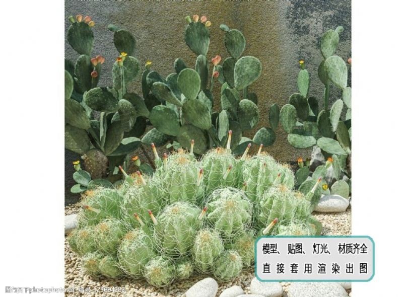 生态种植植物墙盆栽庭院沙漠植物组合