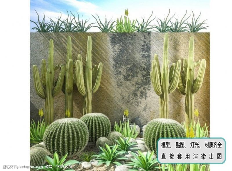 生态种植植物墙沙漠植物仙人掌组合盆景