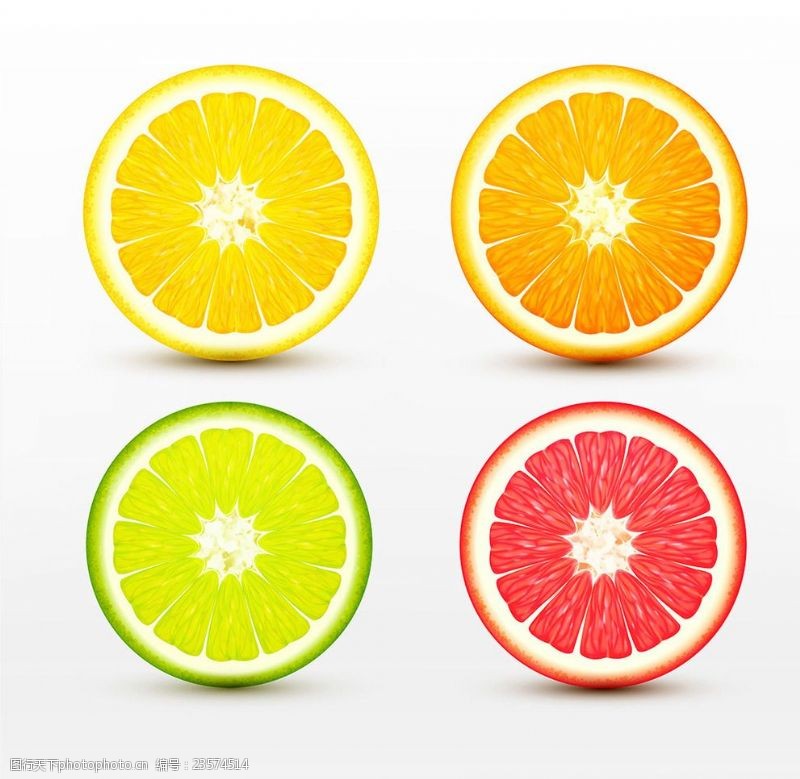 矢量水果素材四款不同颜色的柠檬切面矢量