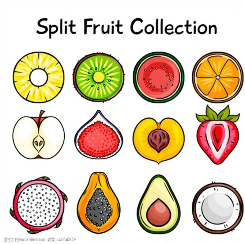 矢量水果素材卡通美味的分割水果