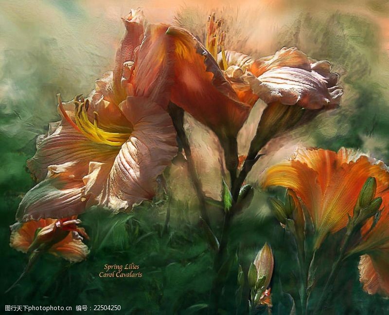抽象油画画屏手绘花卉
