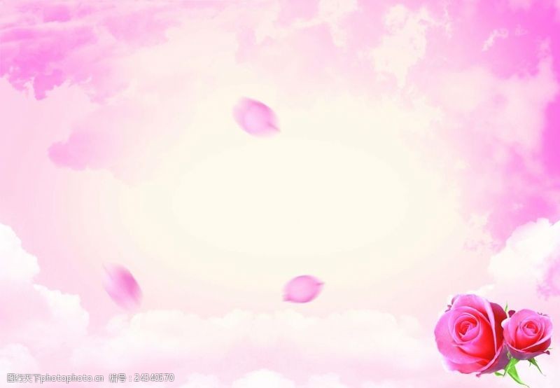 粉色玫瑰花背景粉色天空
