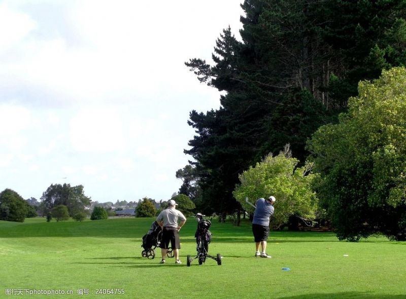 高尔夫挥杆新西兰高尔夫球场风景