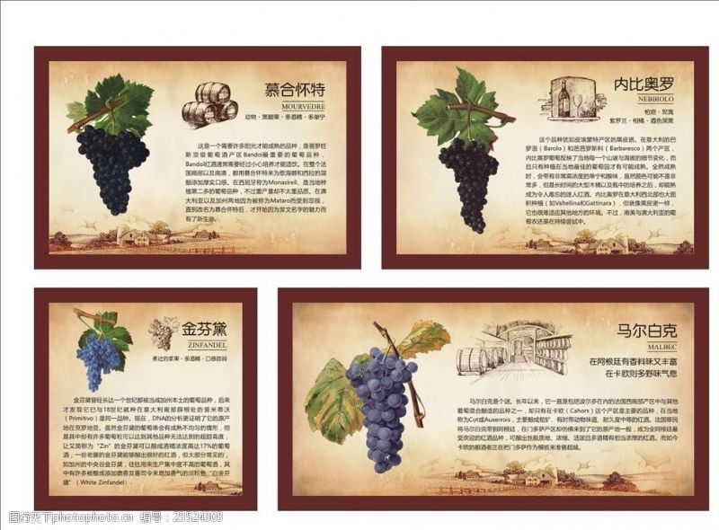 进化世界葡萄品种及介绍