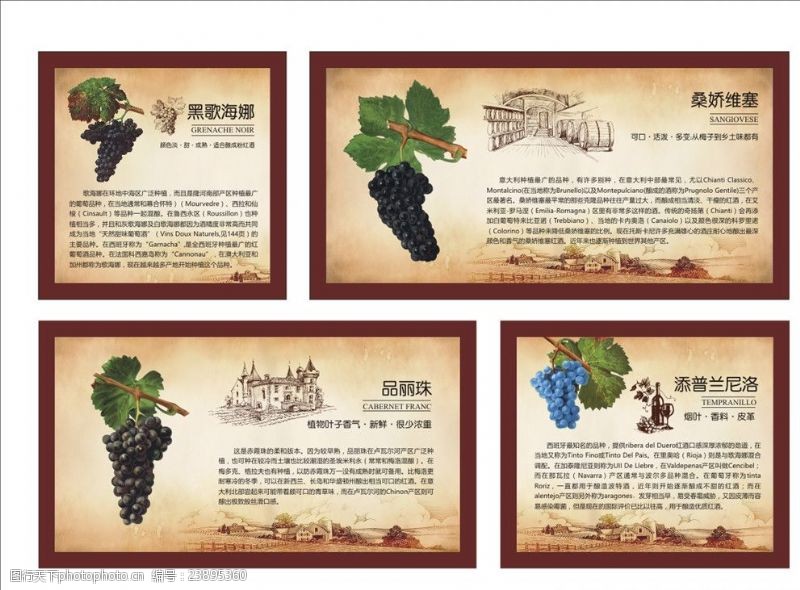 葡萄酒介绍世界葡萄品种及介绍