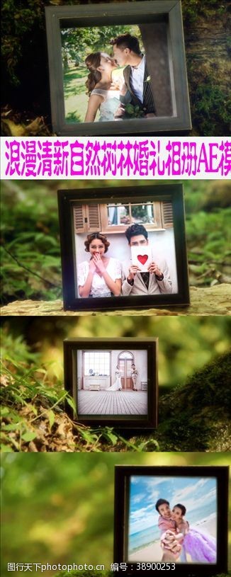 led视频素材浪漫清新自然树林婚礼相册